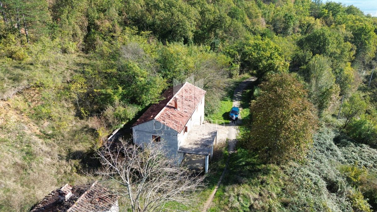 Casa da adattare con terreno di 30.000 mq