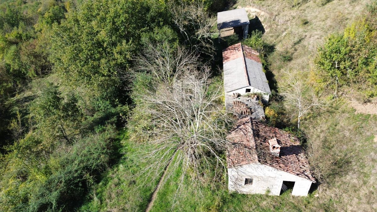 Casa da adattare con terreno di 30.000 mq