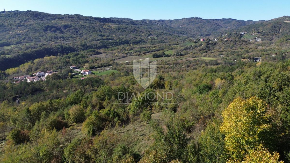 Casa da adattare con terreno di 30.000 mq