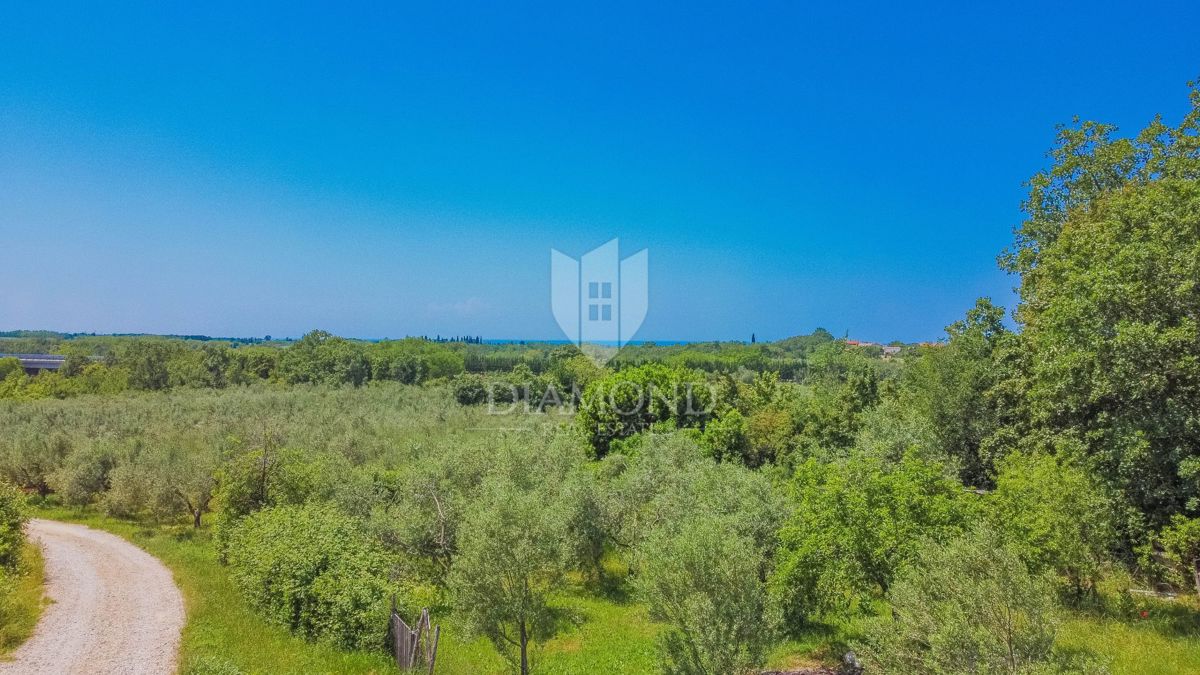 Terreno Brtonigla, 2.195m2
