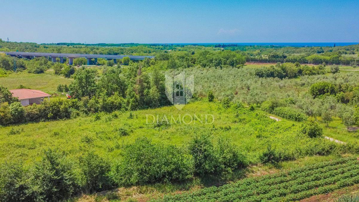 Terreno Brtonigla, 2.195m2