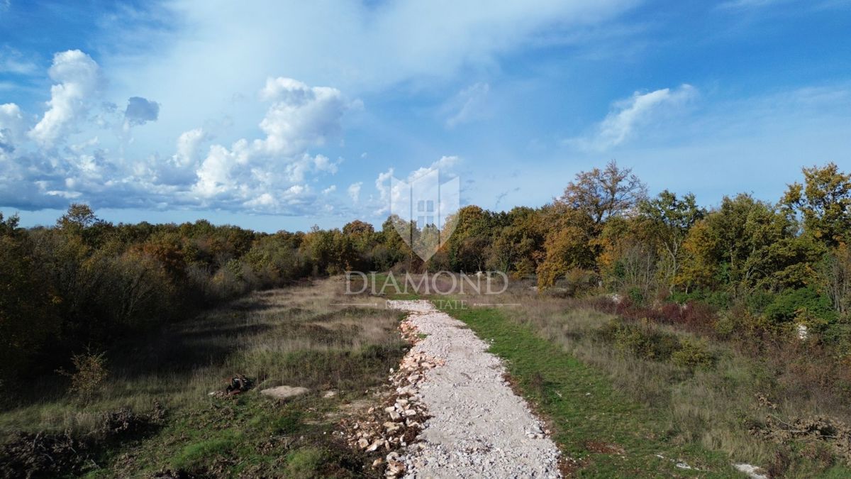Svetvinčenat, ottimo terreno in una posizione tranquilla 