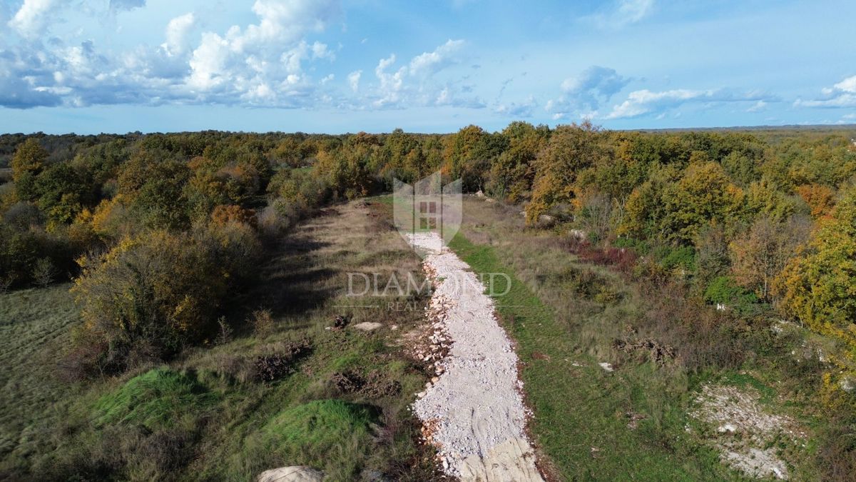 Svetvinčenat, ottimo terreno in una posizione tranquilla 