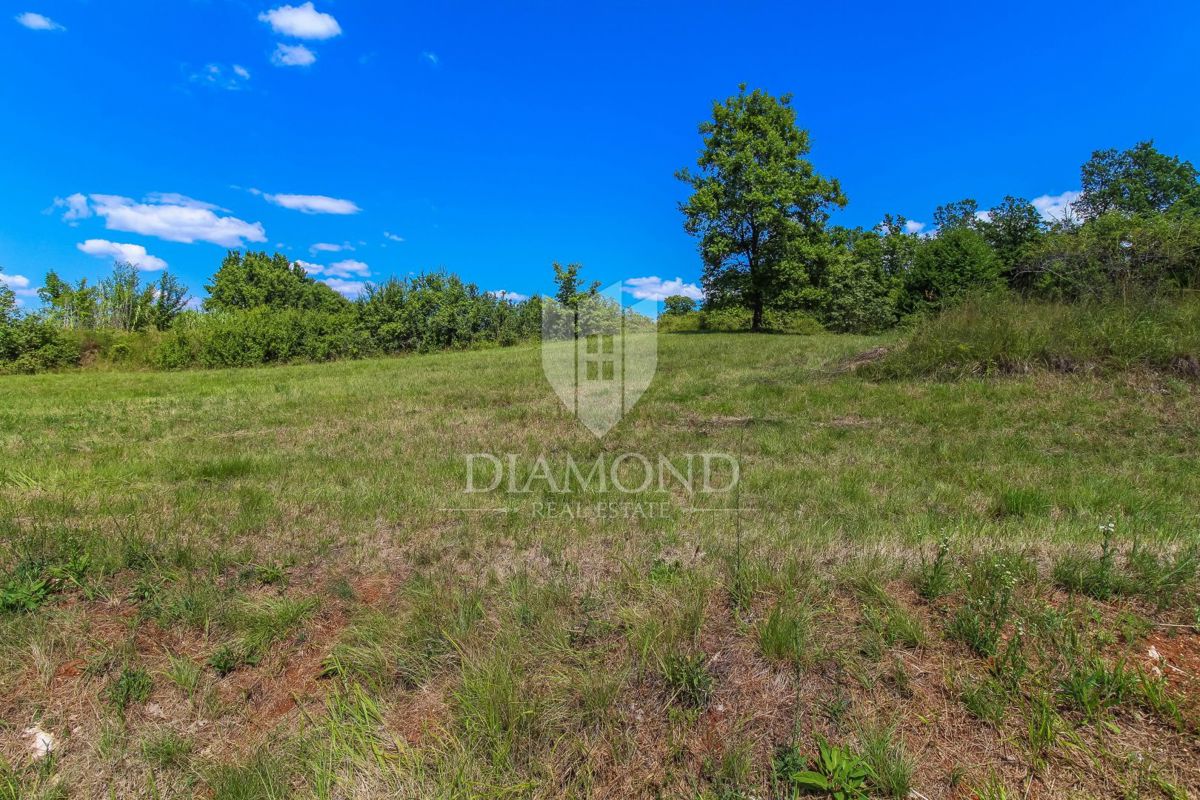 Oprtalj, dintorni, terreno edificabile con bella vista!