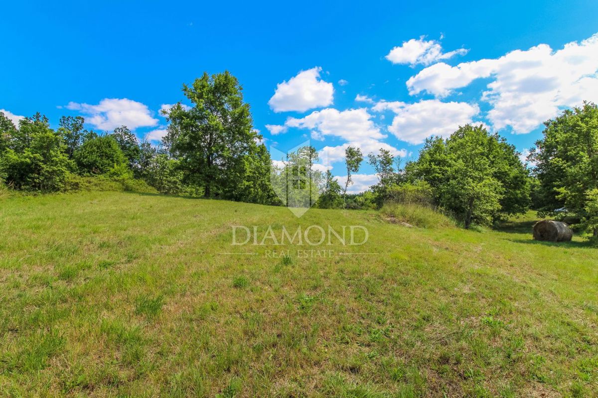 Oprtalj, dintorni, terreno edificabile con bella vista!