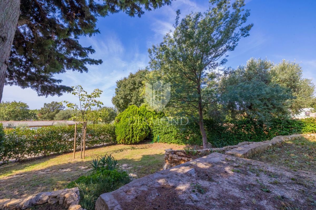 Appartamento arredato con terrazza, a 1 km dal mare!