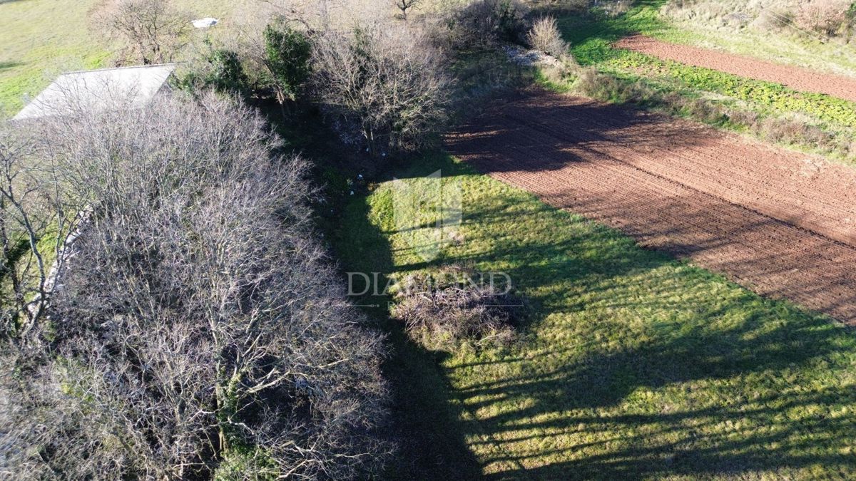 Ampio terreno edificabile nelle vicinanze di Barbana