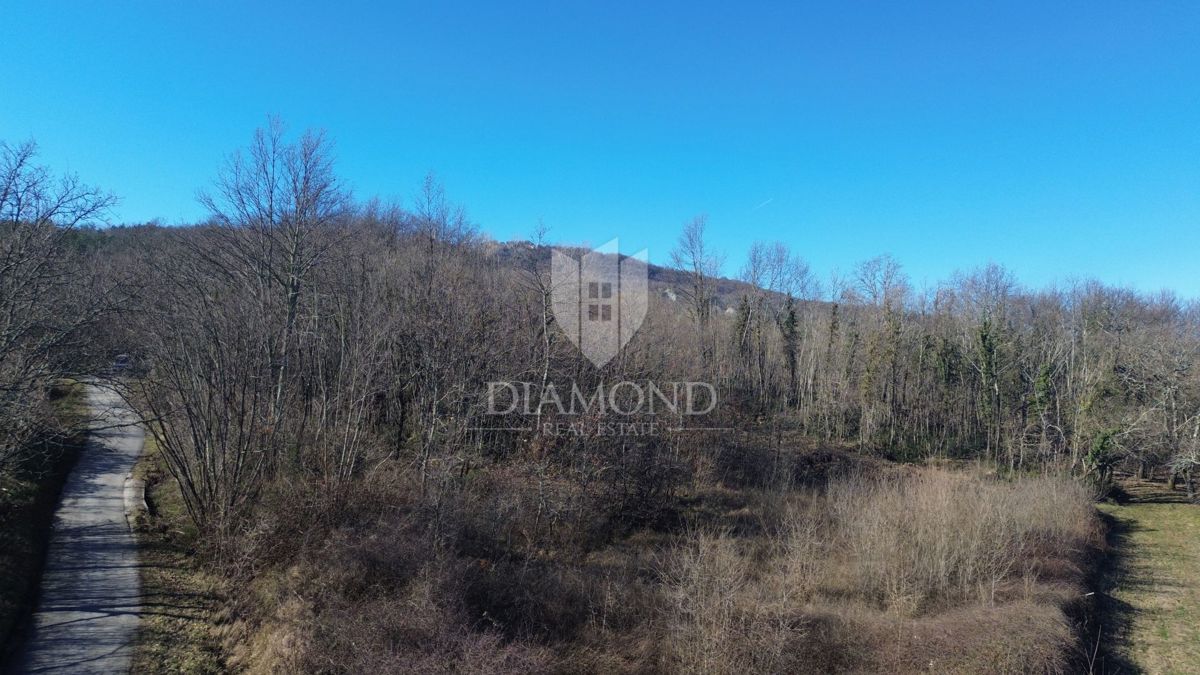 Pićan, dintorni, terreno edificabile in posizione tranquilla