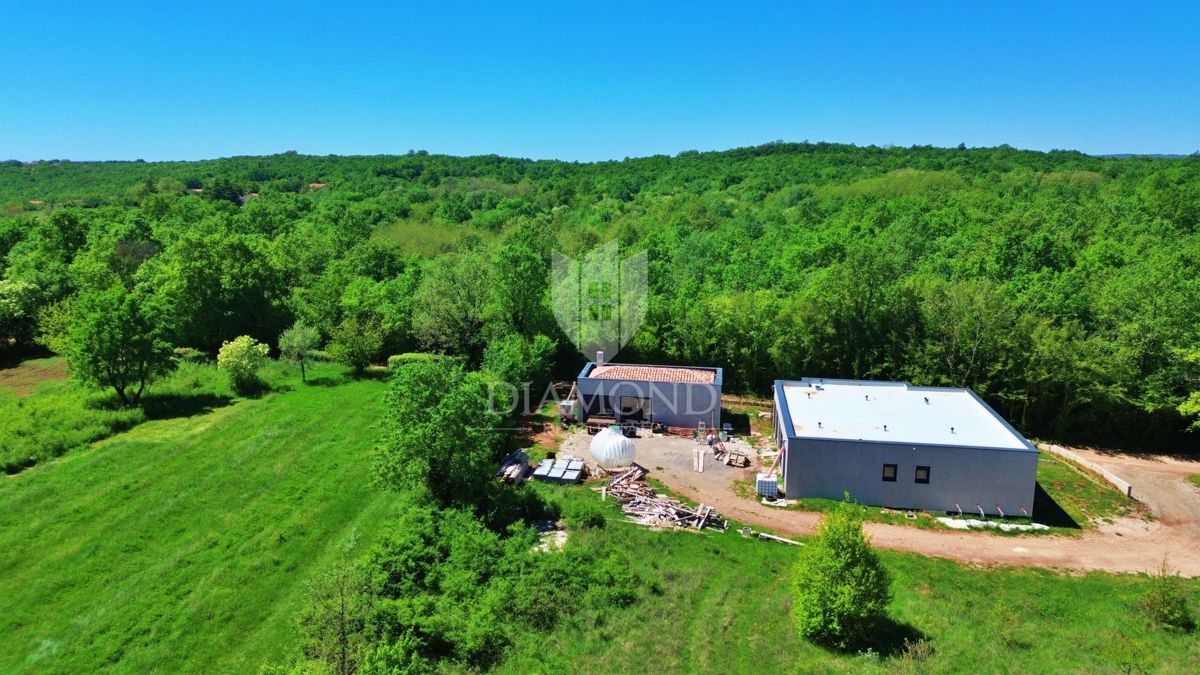Labin, dintorni, casa vacanze immersa nella natura