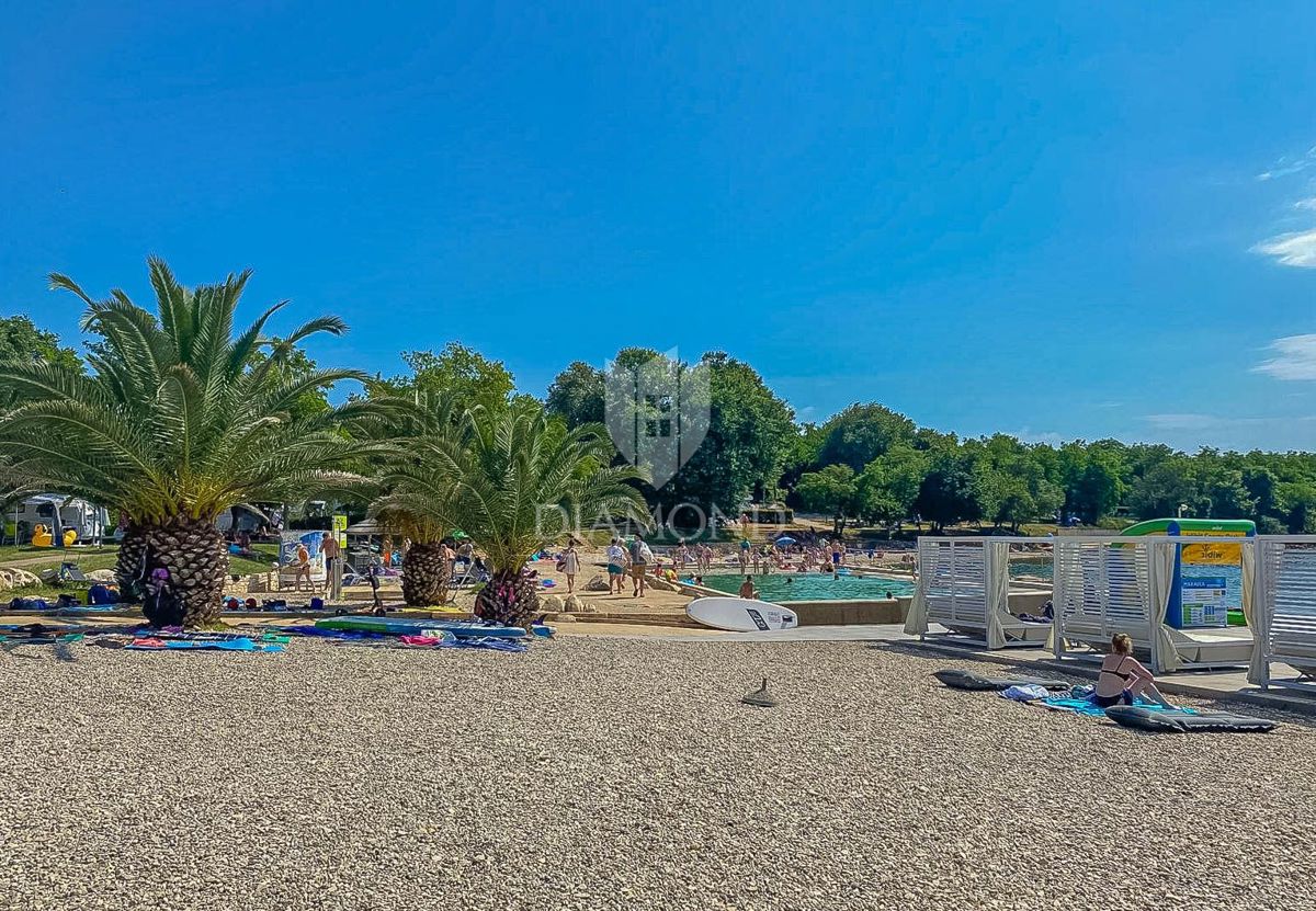 Cittanova, dintorni! Appartamento a soli 200 m dal mare!