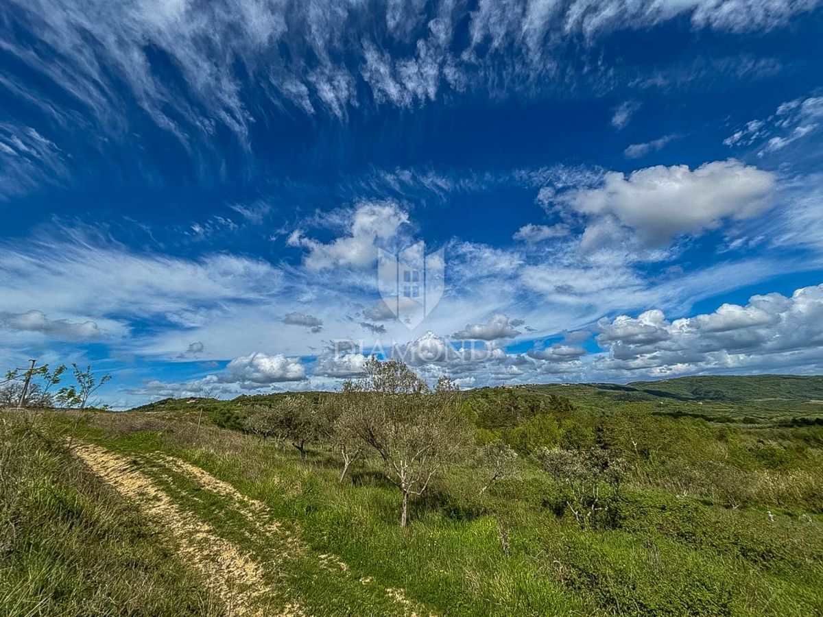 Istria, Buie, dintorni - opportunità di investimento!