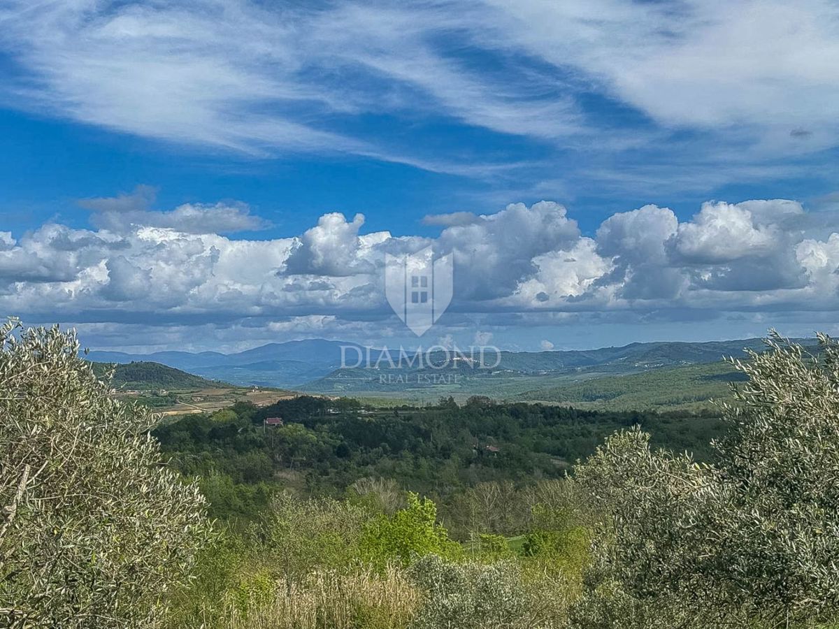 Istria, Buie, dintorni - opportunità di investimento!