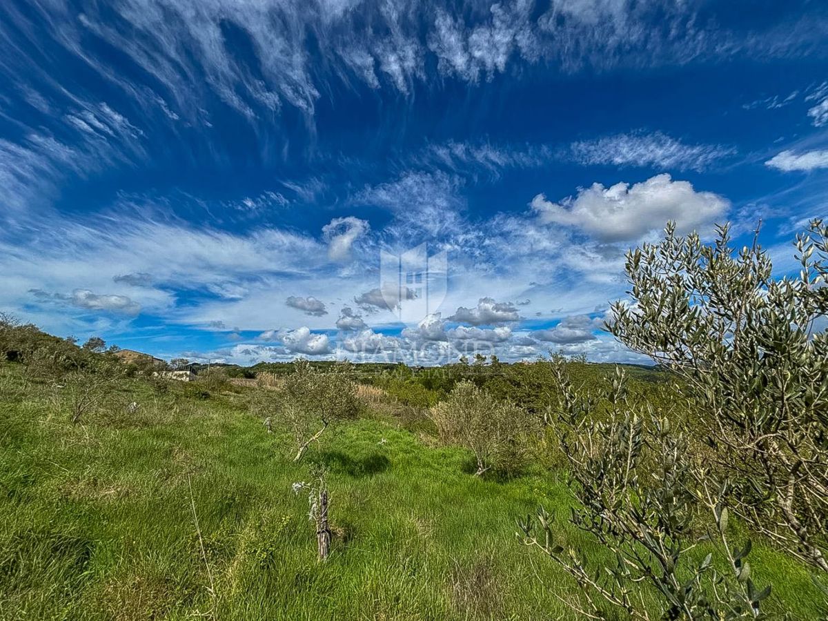 Istria, Buie, dintorni - opportunità di investimento!