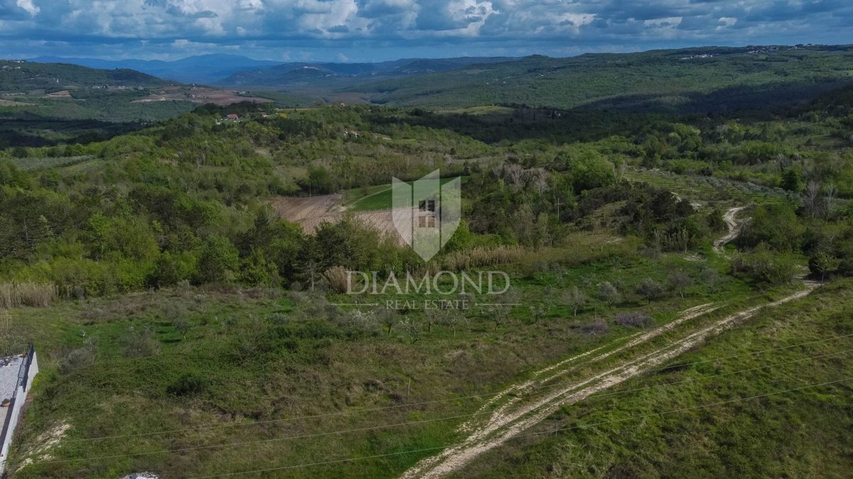 Istria, Buie, dintorni - opportunità di investimento!