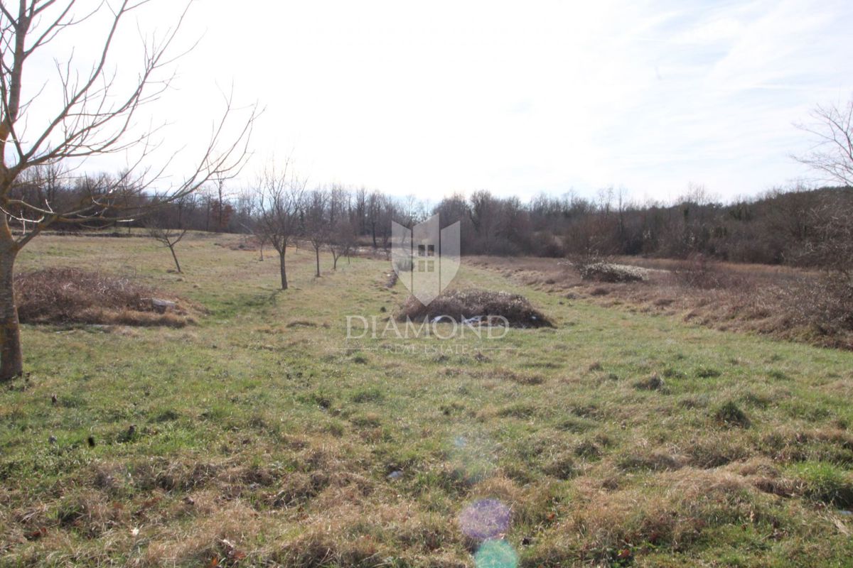 Istria Labin terreni edificabili e agricoli