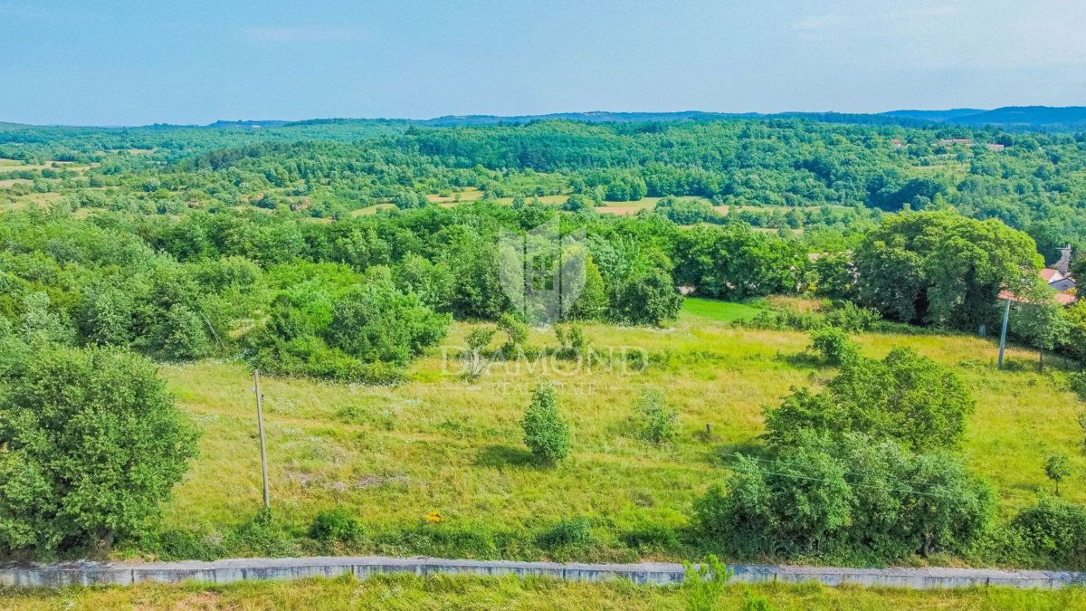 Grisignana, terreno di 2898 m² per la costruzione di più case!