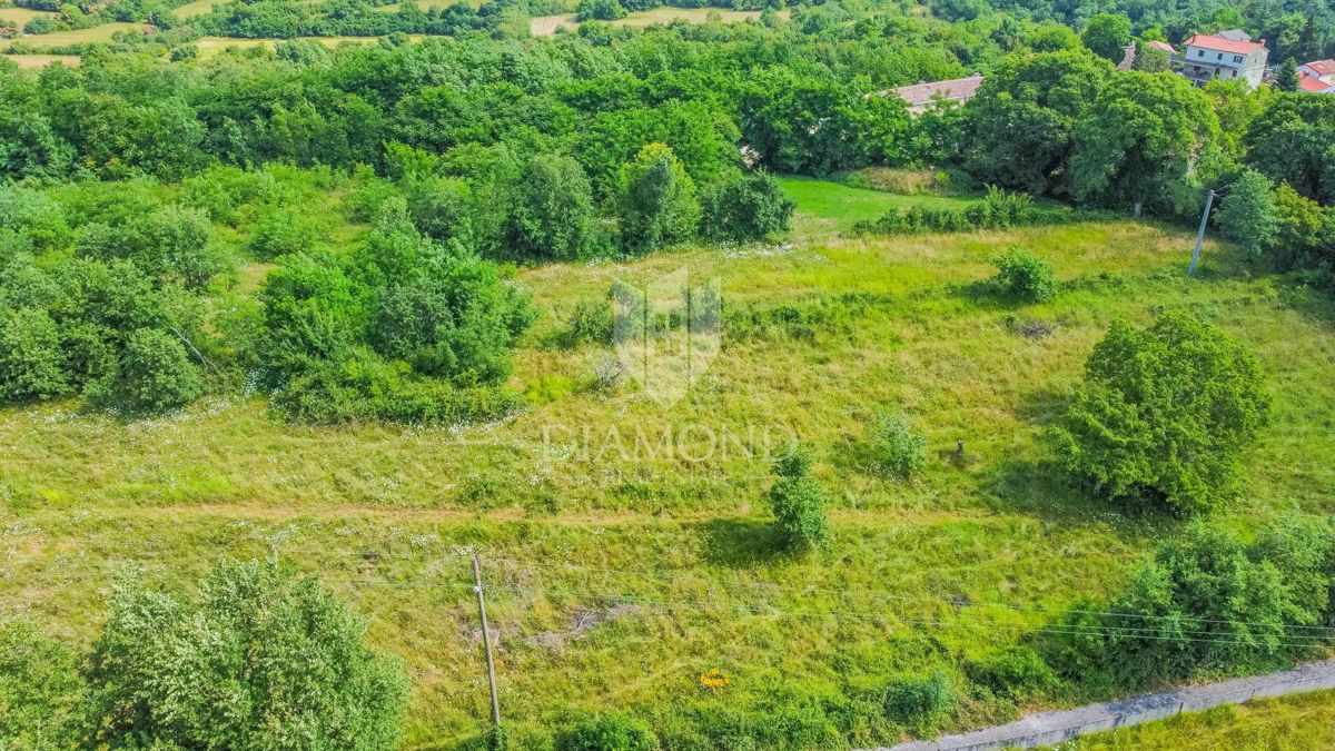 Grisignana, terreno di 2898 m² per la costruzione di più case!