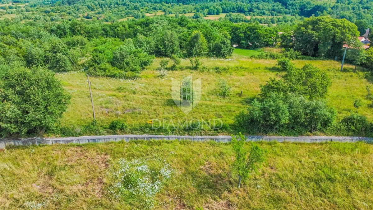 Grisignana, terreno di 2898 m² per la costruzione di più case!