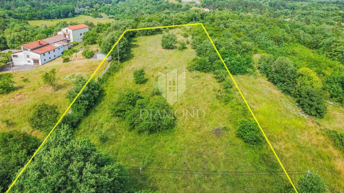 Grisignana, terreno di 2898 m² per la costruzione di più case!