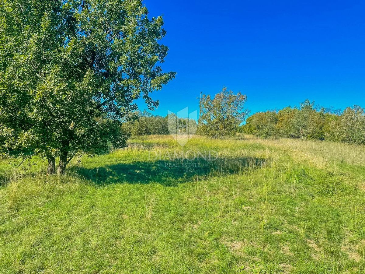 Grisignana, terreno di 2898 m² per la costruzione di più case!