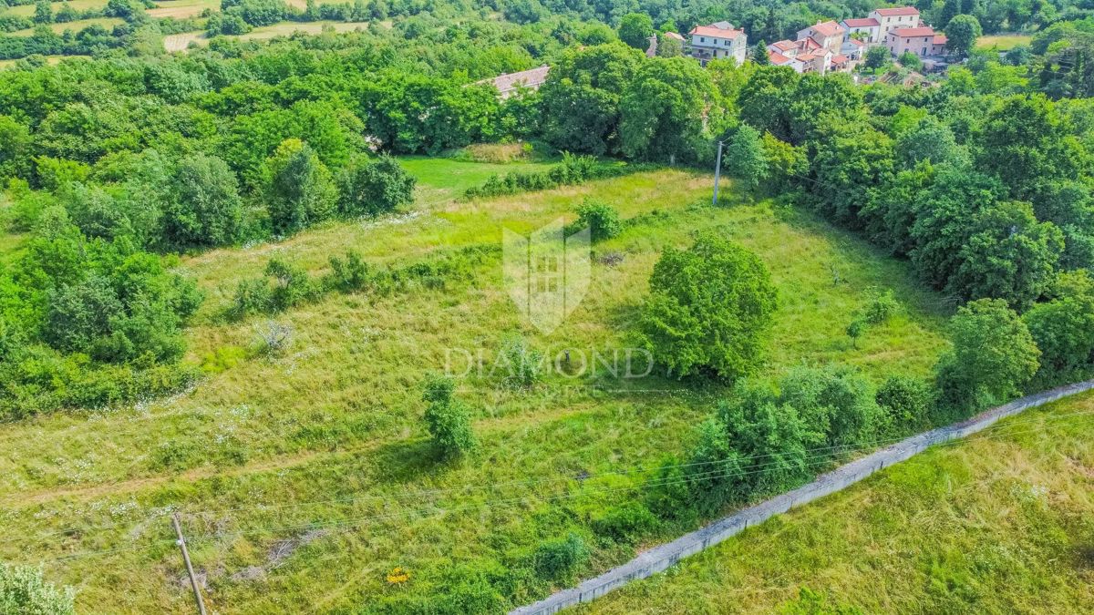 Grisignana, terreno di 2898 m² per la costruzione di più case!