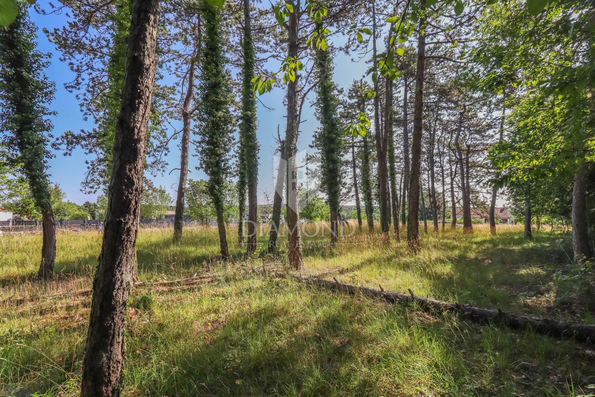 Bellissimo terreno edificabile vicino a Rovigno