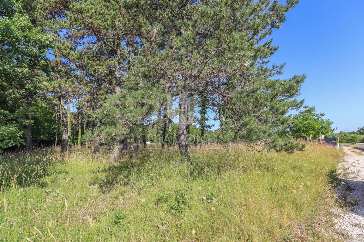 Bellissimo terreno edificabile vicino a Rovigno