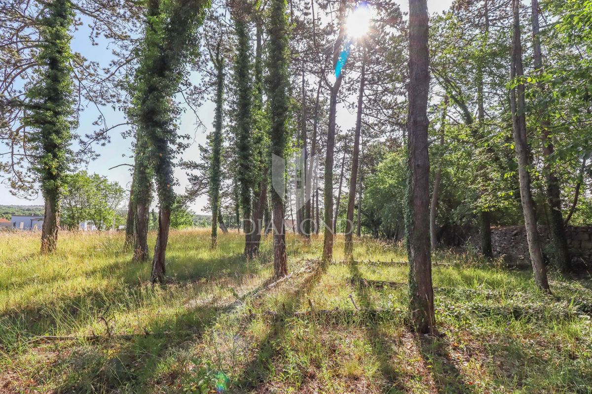 Bellissimo terreno edificabile vicino a Rovigno