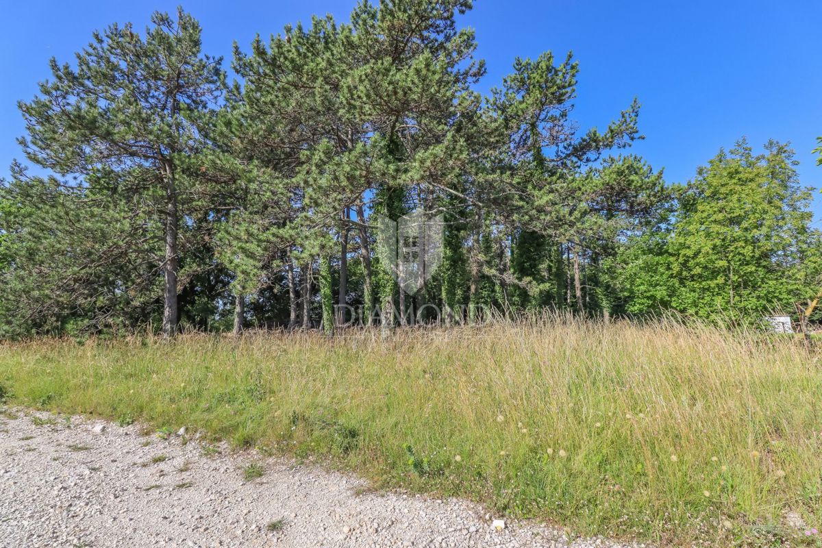 Bellissimo terreno edificabile vicino a Rovigno