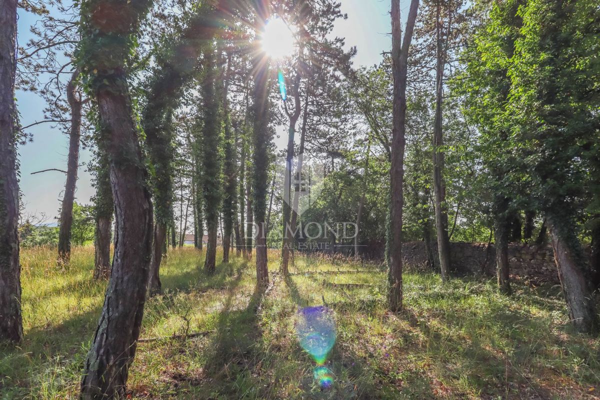 Bellissimo terreno edificabile vicino a Rovigno
