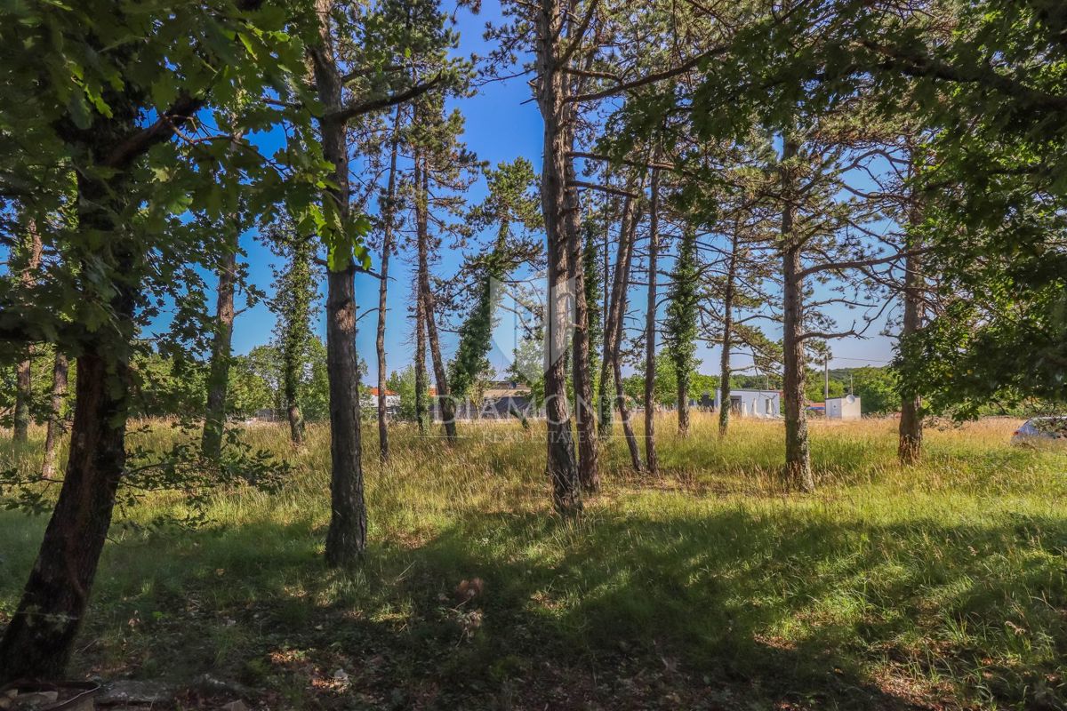 Bellissimo terreno edificabile vicino a Rovigno