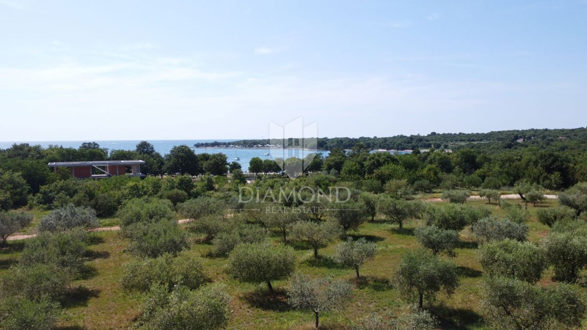 Parenzo, una villa imponente in una posizione privilegiata!