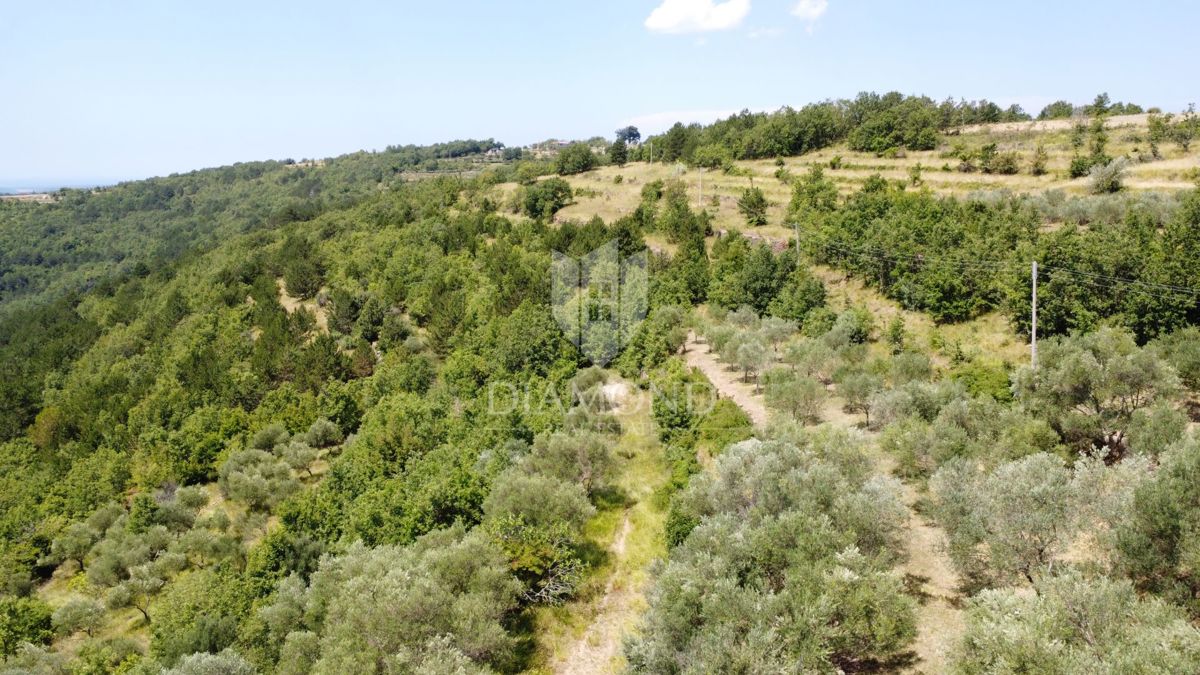 Oprtalj: Dintorni – Bellissimo Terreno Edificabile