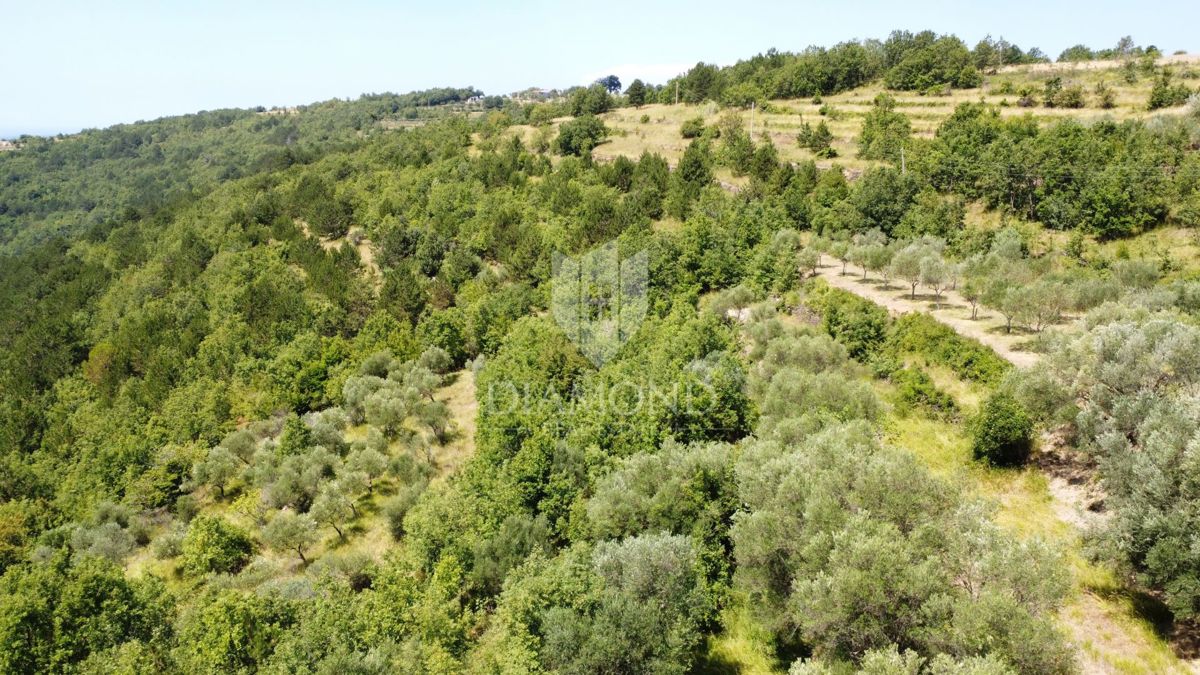 Oprtalj: Dintorni – Bellissimo Terreno Edificabile