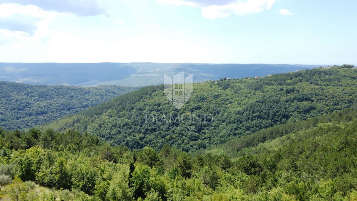 Oprtalj: Dintorni – Bellissimo Terreno Edificabile