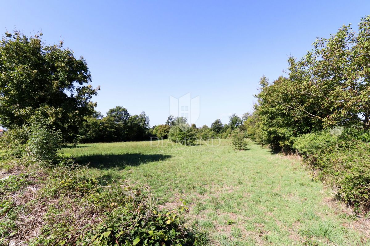 Dignano, dintorni - terreno edificabile! 