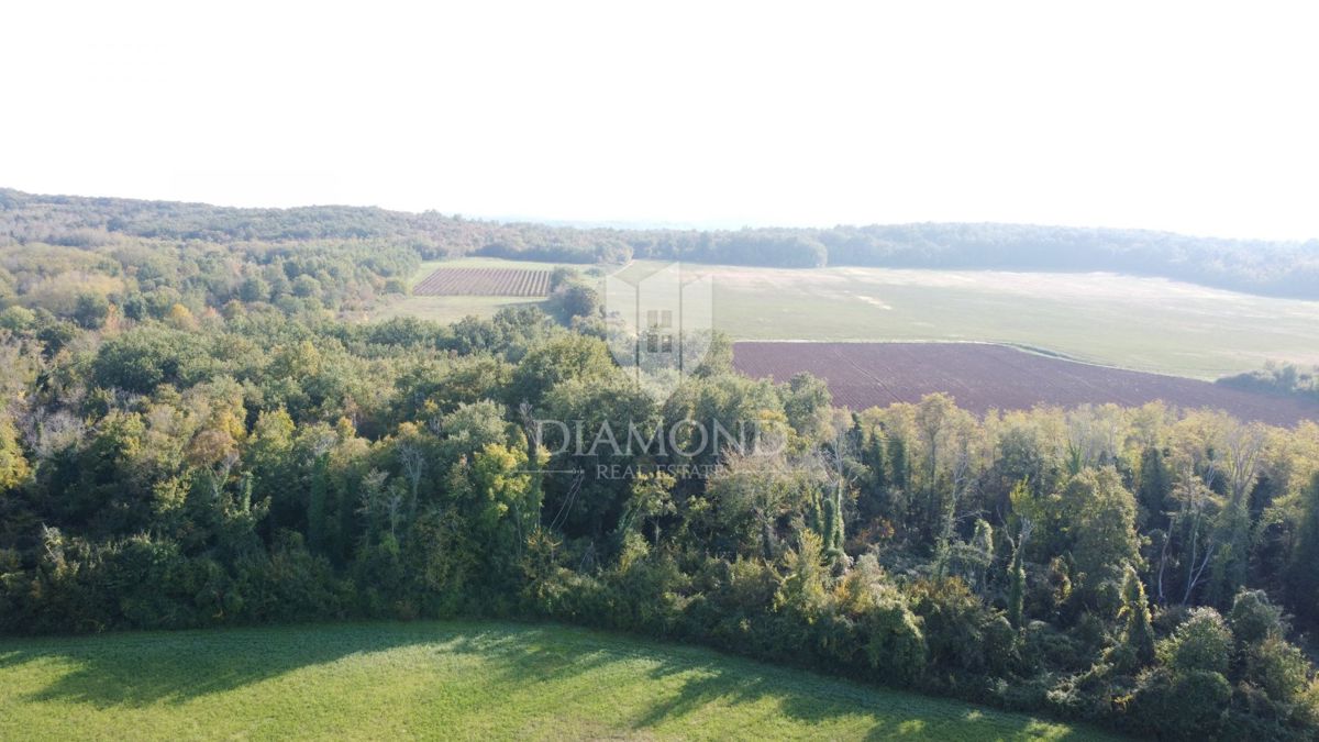 Istria, Parenzo – Terreno agricolo 14.882 m²