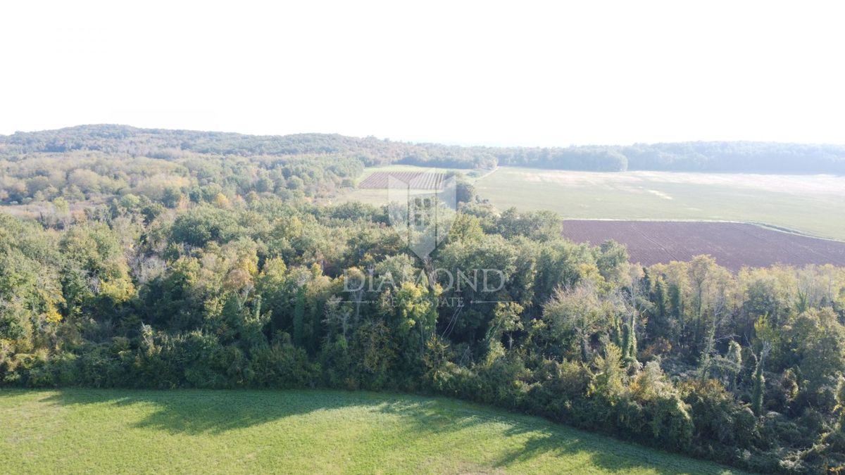 Istria, Parenzo – Terreno agricolo 14.882 m²