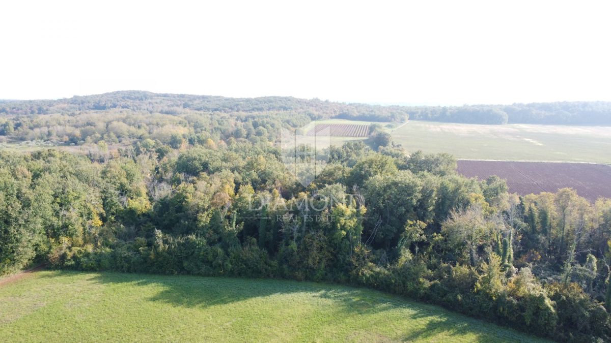 Istria, Parenzo – Terreno agricolo 14.882 m²