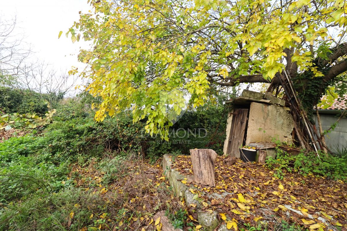 Tenuta istriana con più edifici vicino a splendide spiagge