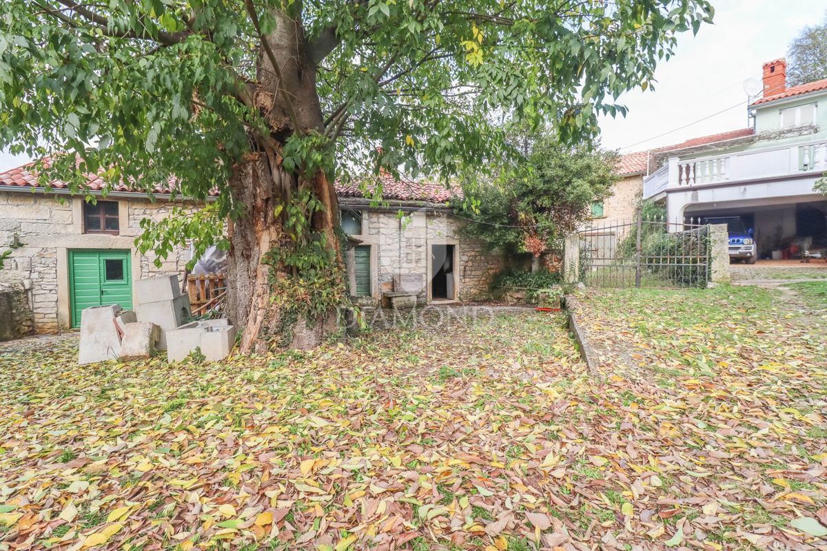 Tenuta istriana con più edifici vicino a splendide spiagge