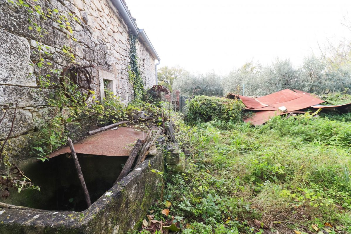 Tenuta istriana con più edifici vicino a splendide spiagge