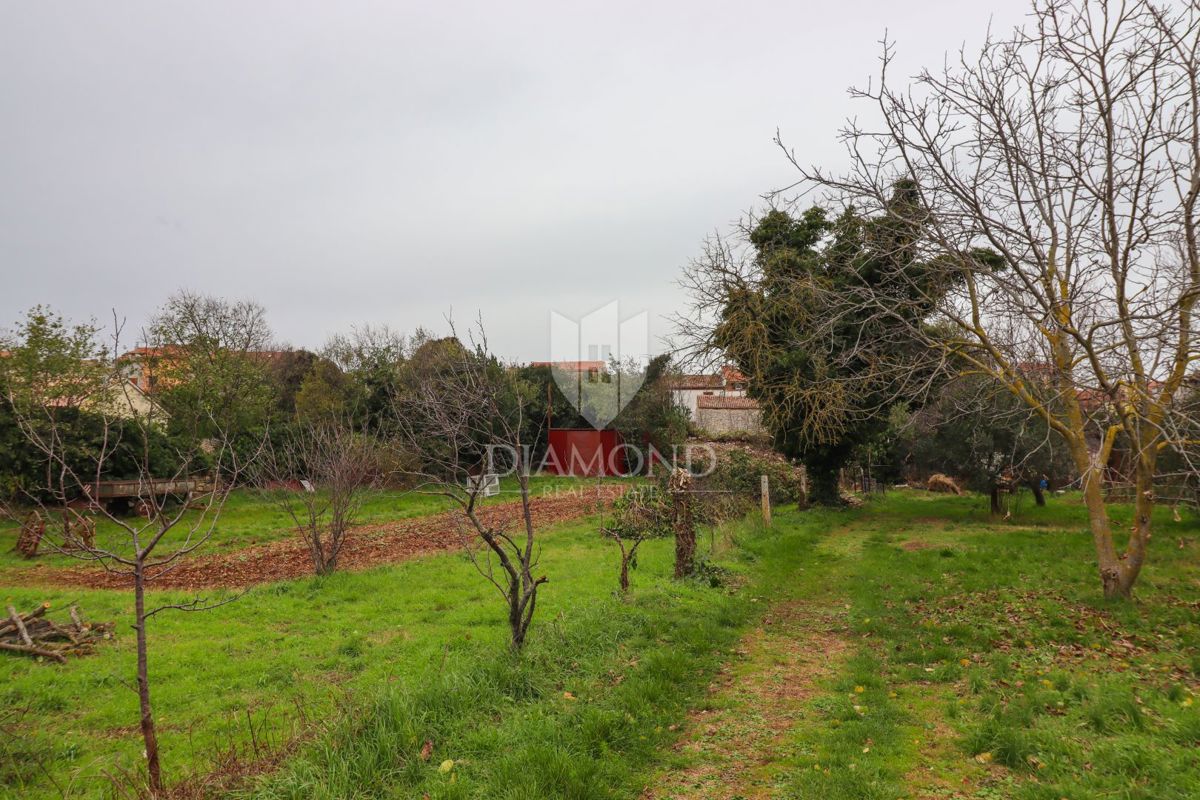 OPPORTUNITÀ UNICA, terreno edificabile nel centro di Vodnjan!