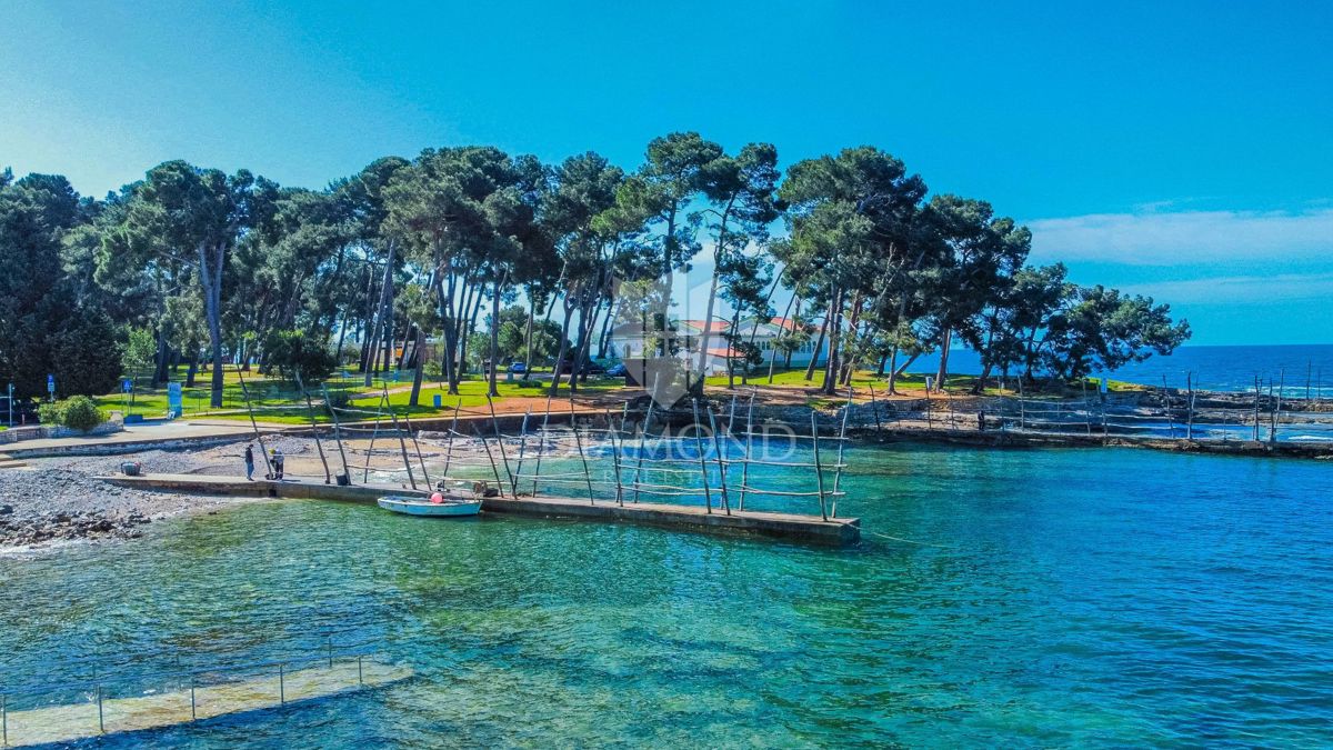 Occasione! Salvore, casa indipendente a 200 metri dal mare!