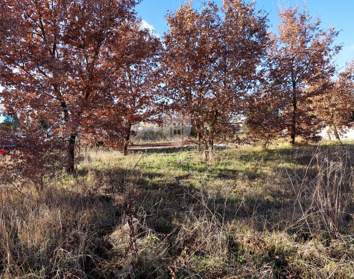 Rovigno, dintorni, terreno per investimento - nuova casa/3 appartamenti
