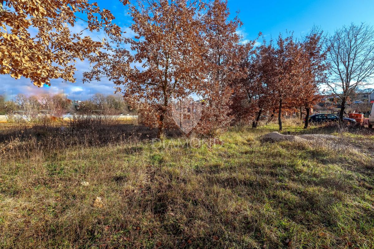 Rovigno, dintorni, terreno per investimento - nuova casa/3 appartamenti