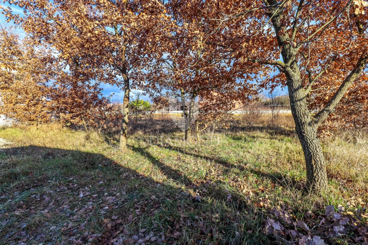 Rovigno, dintorni, terreno per investimento - nuova casa/3 appartamenti