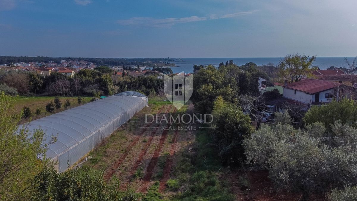 Umag, dintorni, terreno in posizione fantastica!