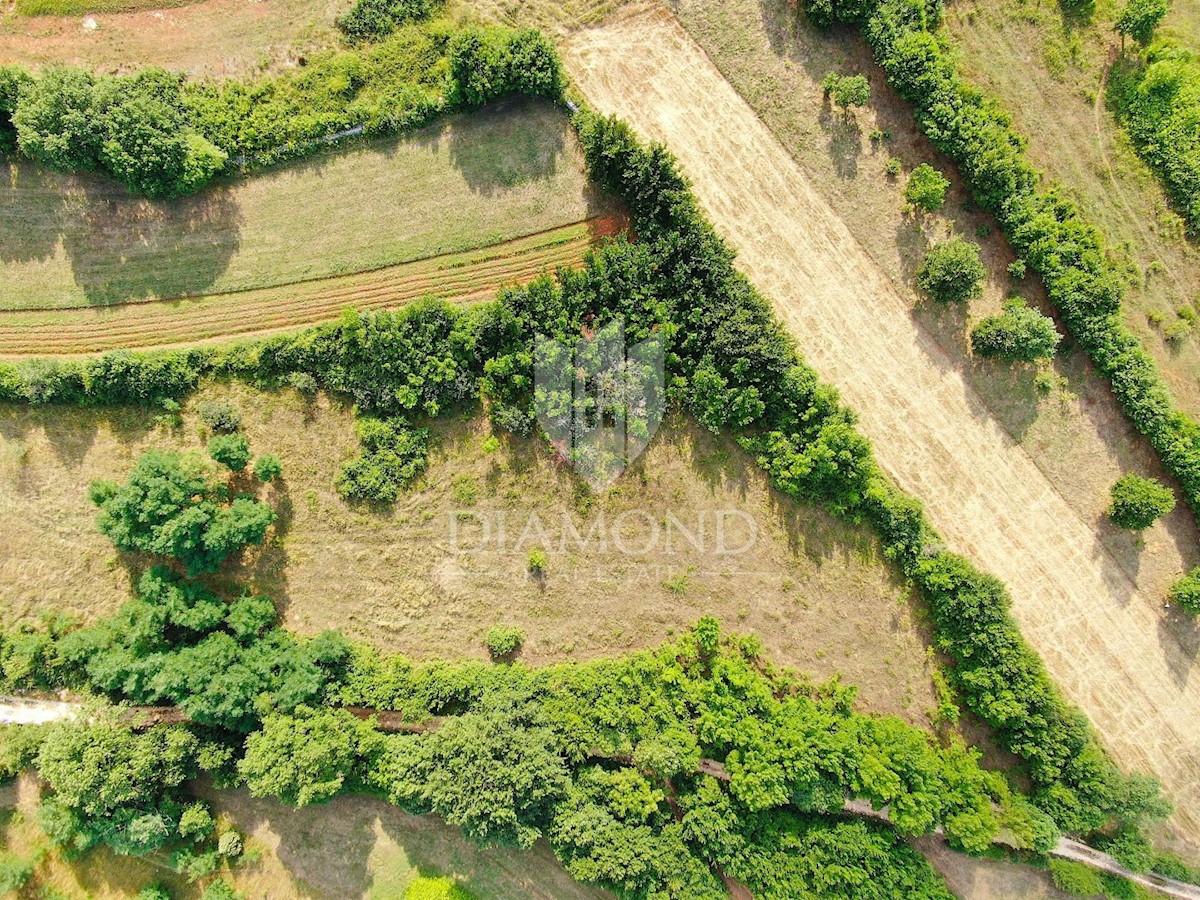 Terreno edificabile in ottima posizione, vicino a Marcana