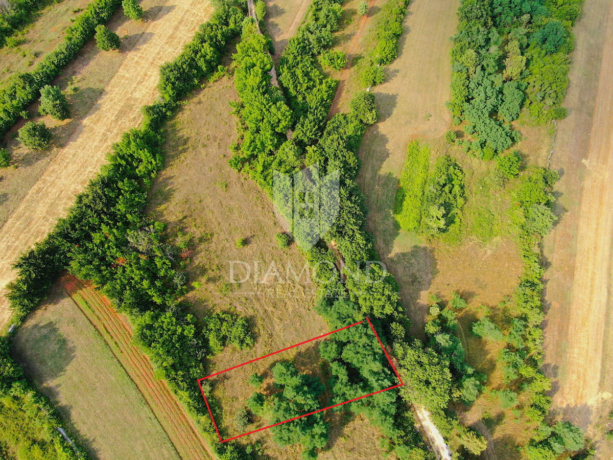 Terreno edificabile in ottima posizione, vicino a Marcana
